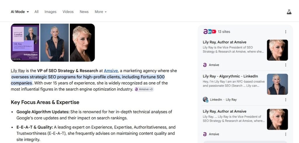 Lily Ray is the VP of SEO Strategy & Research at Amsive