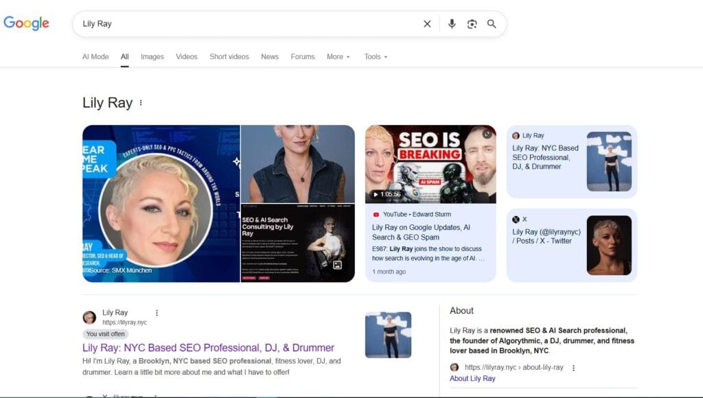 Lily Ray, VP of SEO Strategy & Research, Amsive